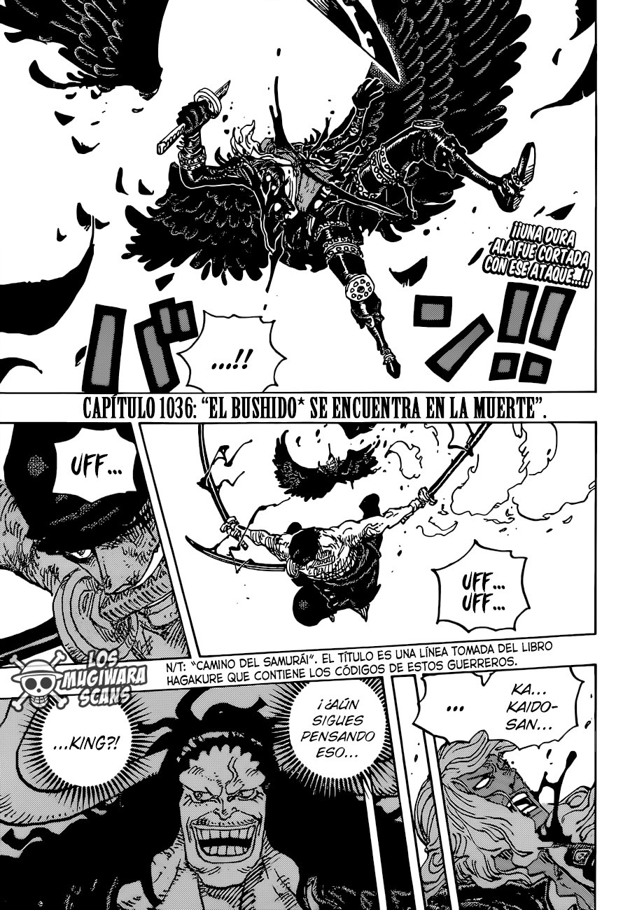 One Piece Capitulo 1036 página 6