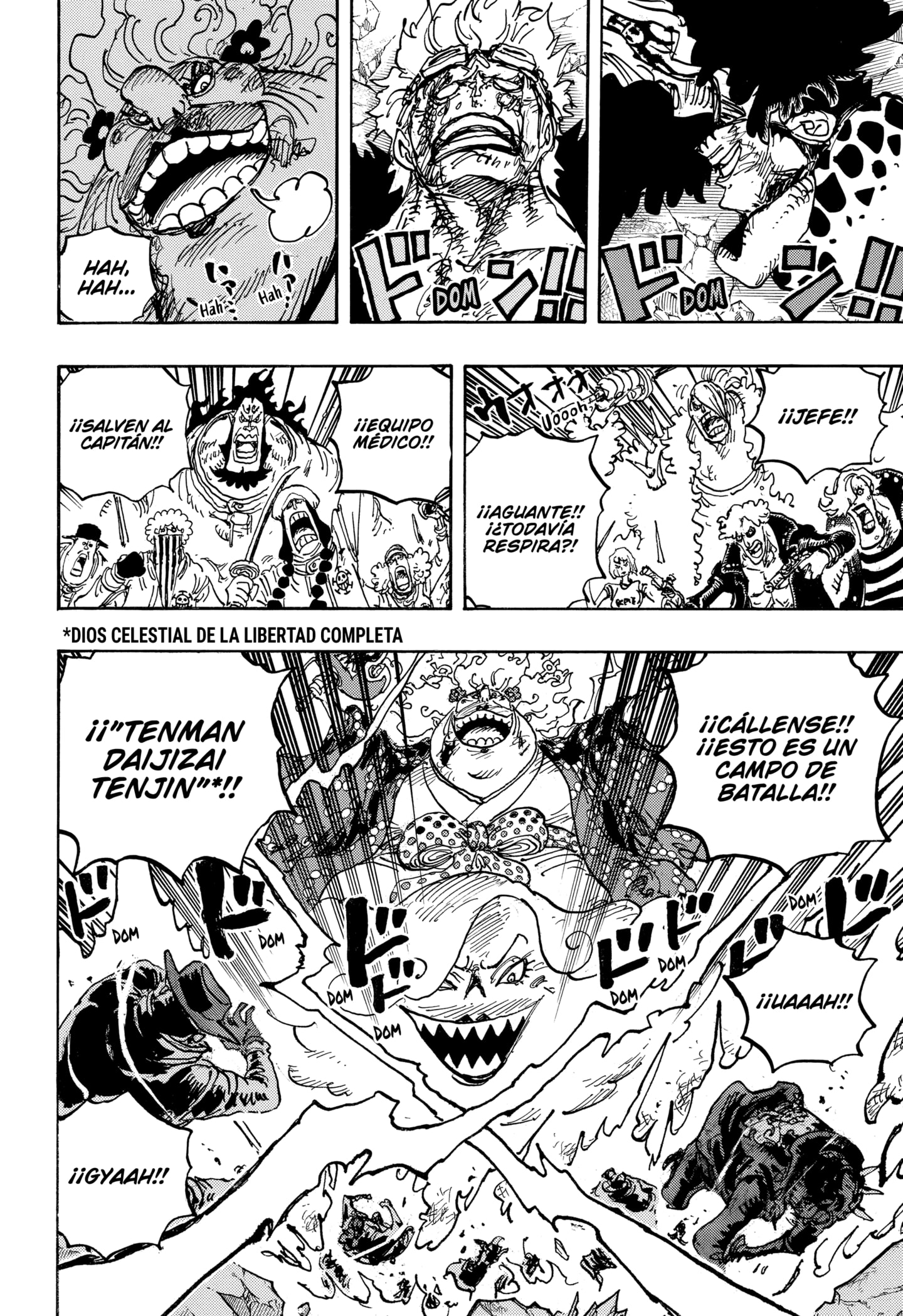 One Piece Capitulo 1038 página 12