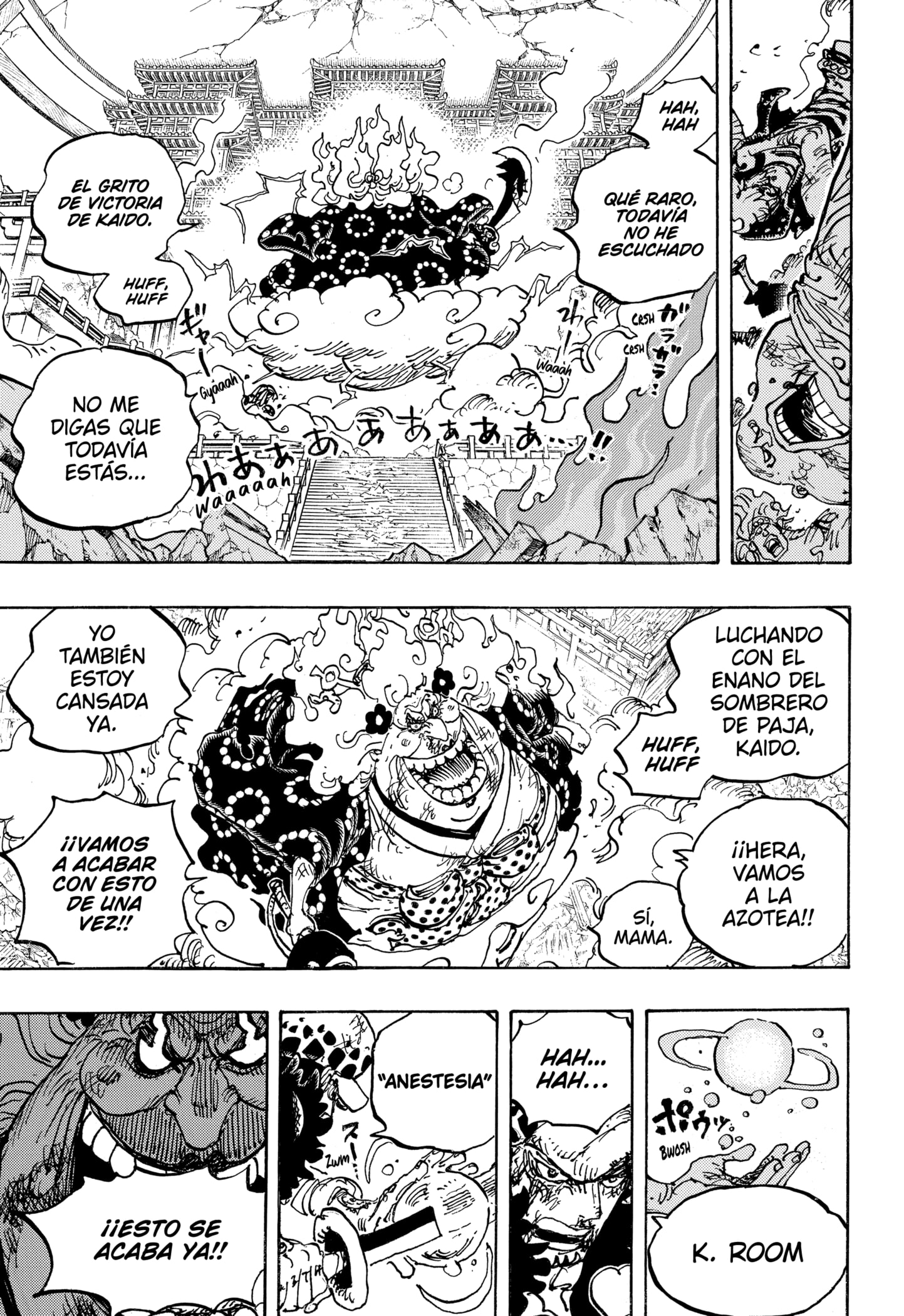 One Piece Capitulo 1038 página 13