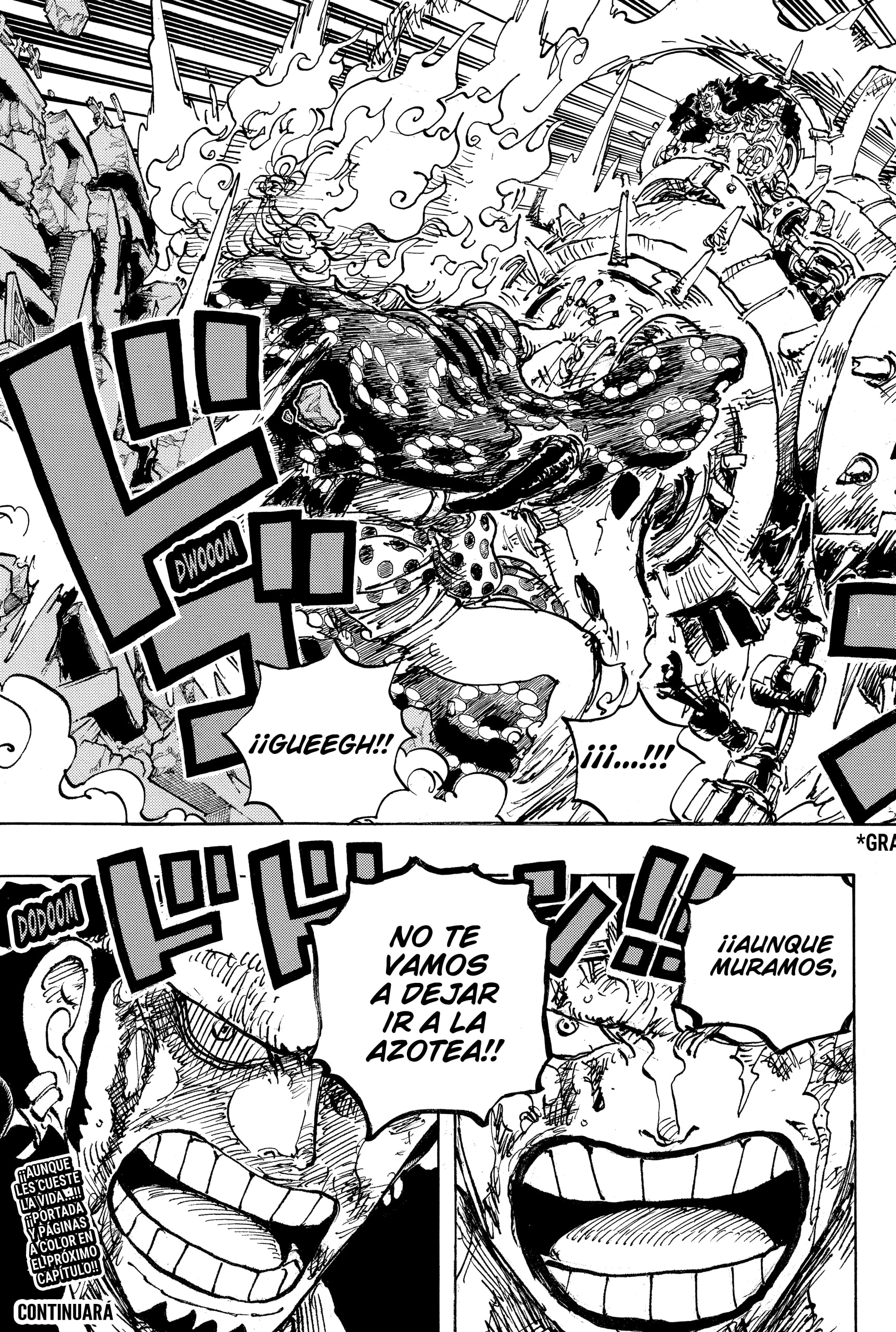One Piece Capitulo 1038 página 17