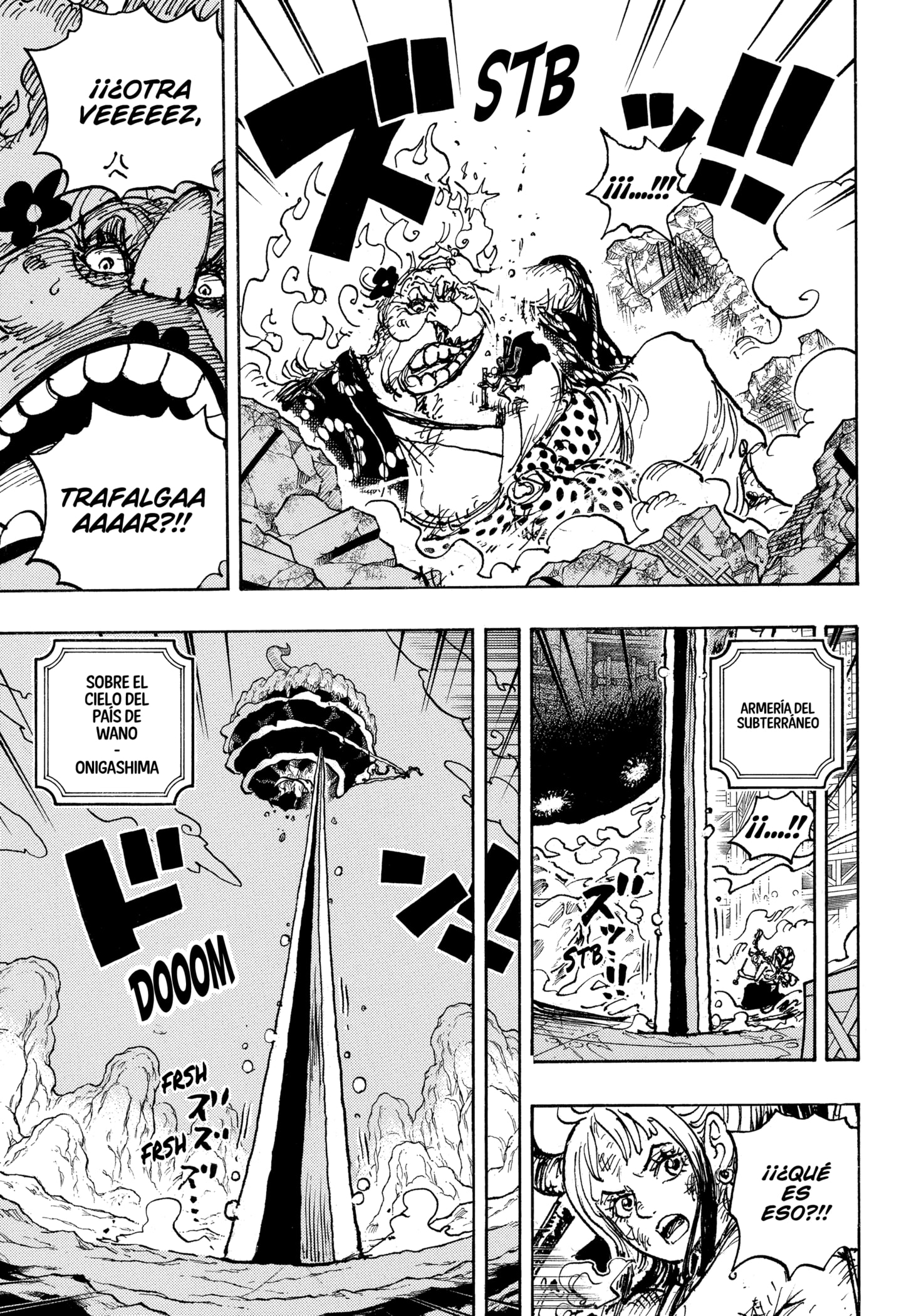 One Piece Capitulo 1039 página 14