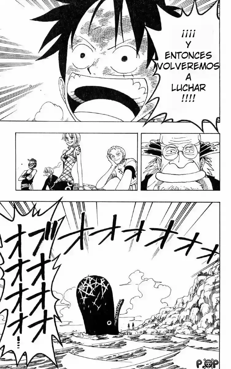 One Piece Capitulo 104 página 19
