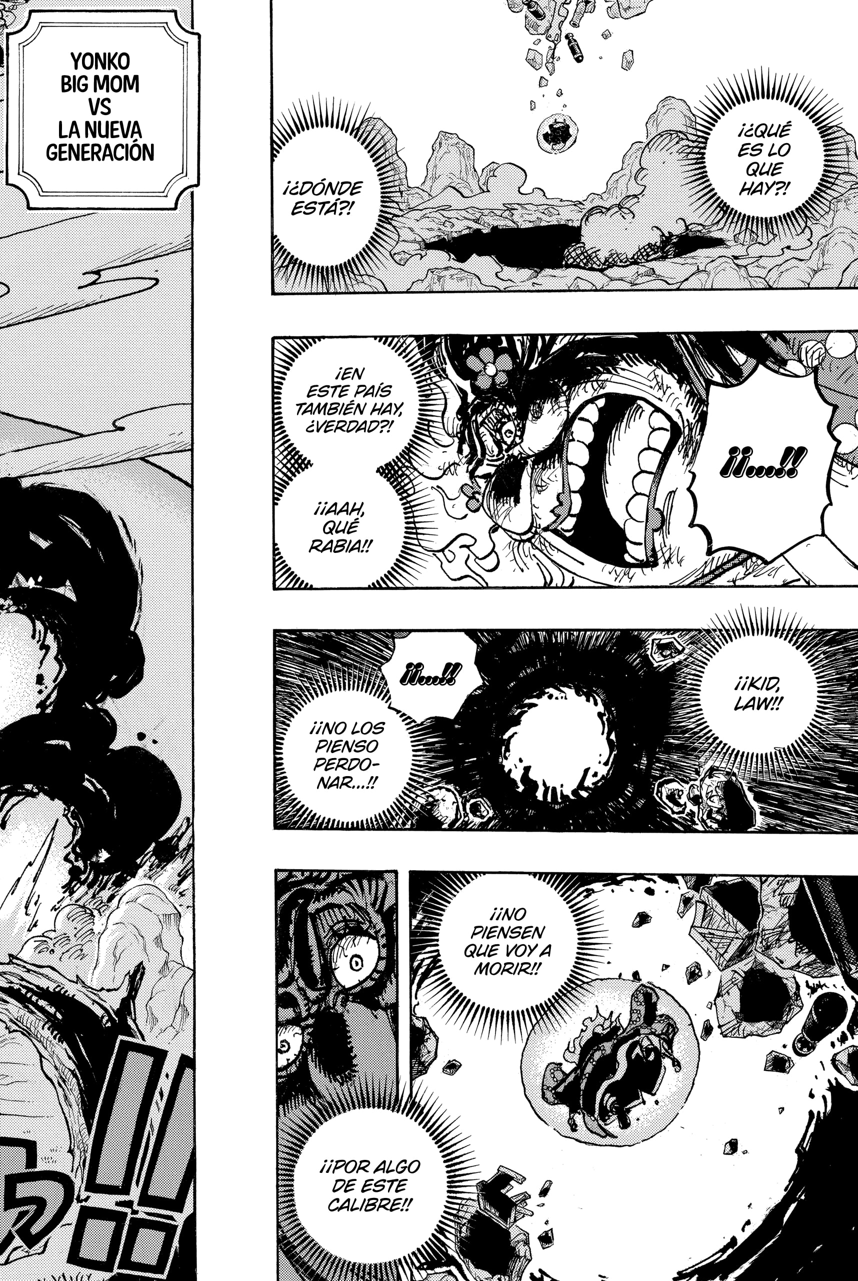 One Piece Capitulo 1040 página 12