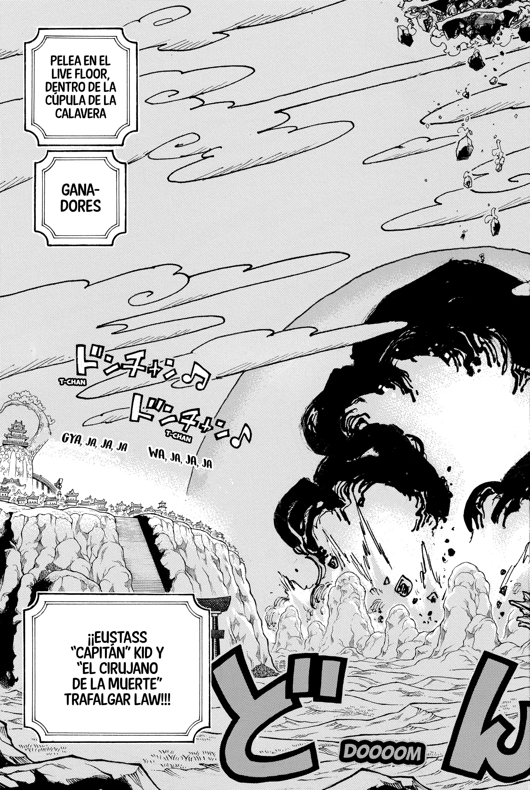 One Piece Capitulo 1040 página 13