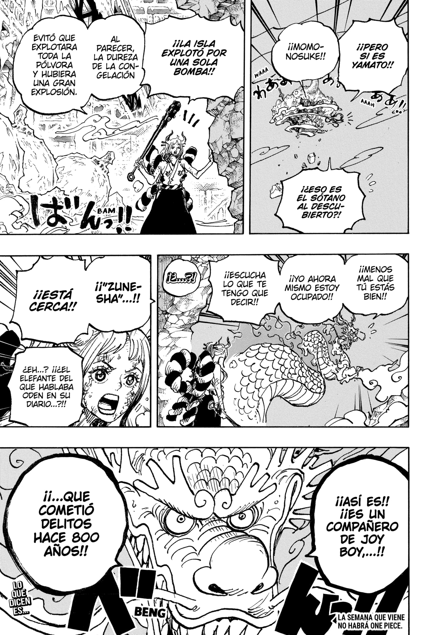 One Piece Capitulo 1040 página 15