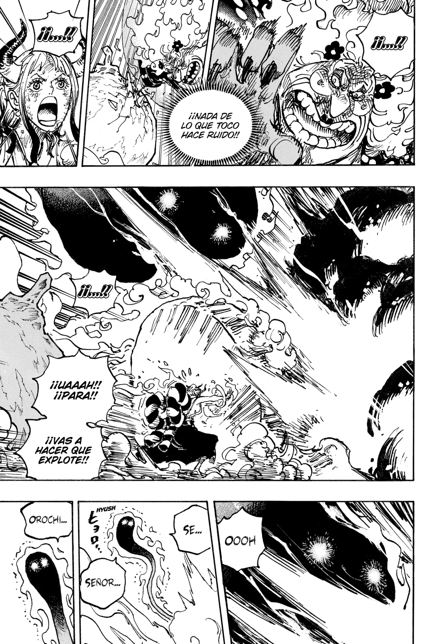 One Piece Capitulo 1040 página 9