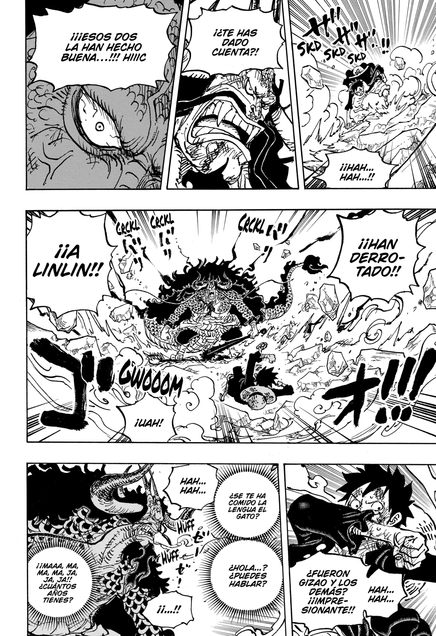 One Piece Capitulo 1041 página 14