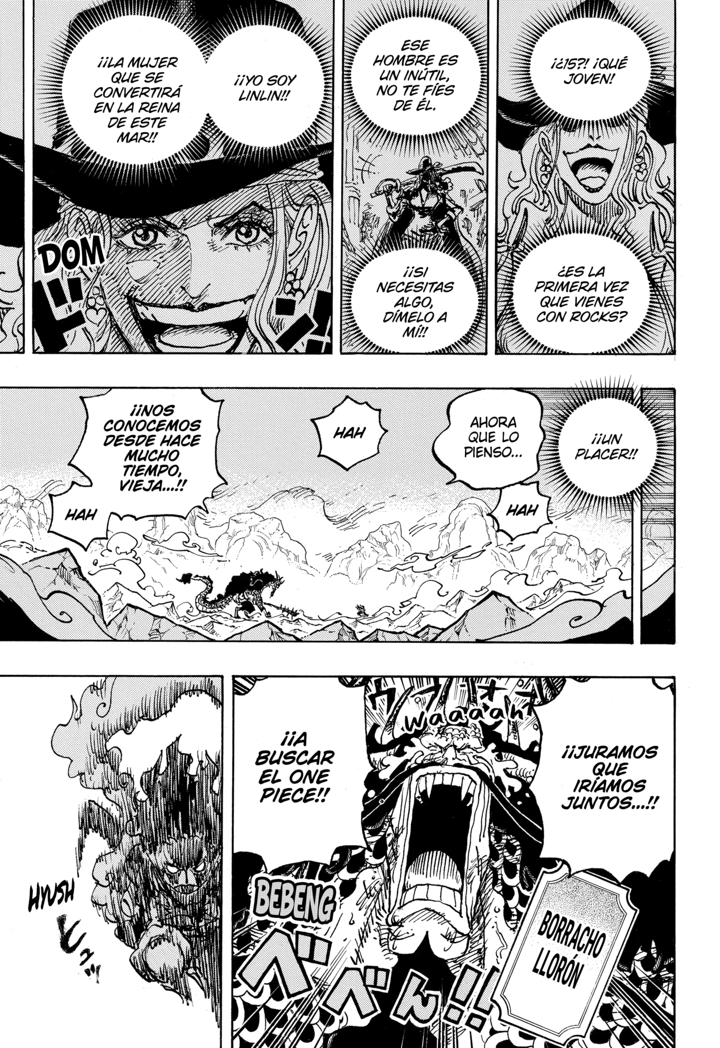 One Piece Capitulo 1041 página 15