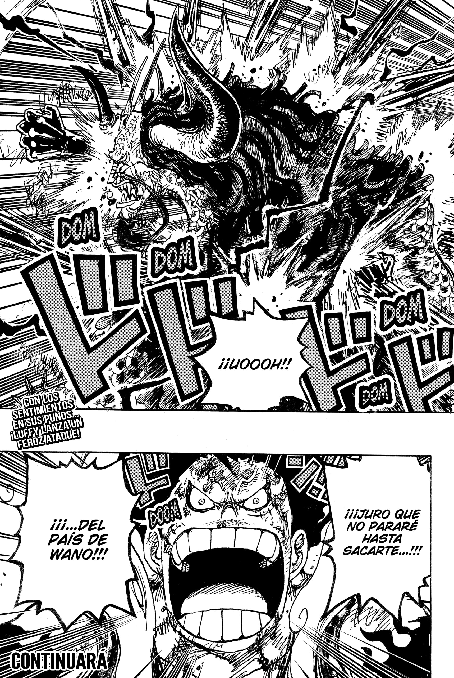 One Piece Capitulo 1041 página 17
