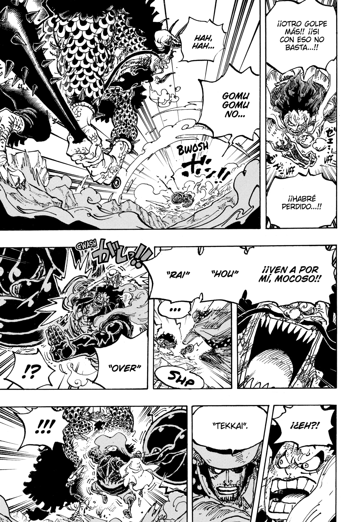 One Piece Capitulo 1042 página 15