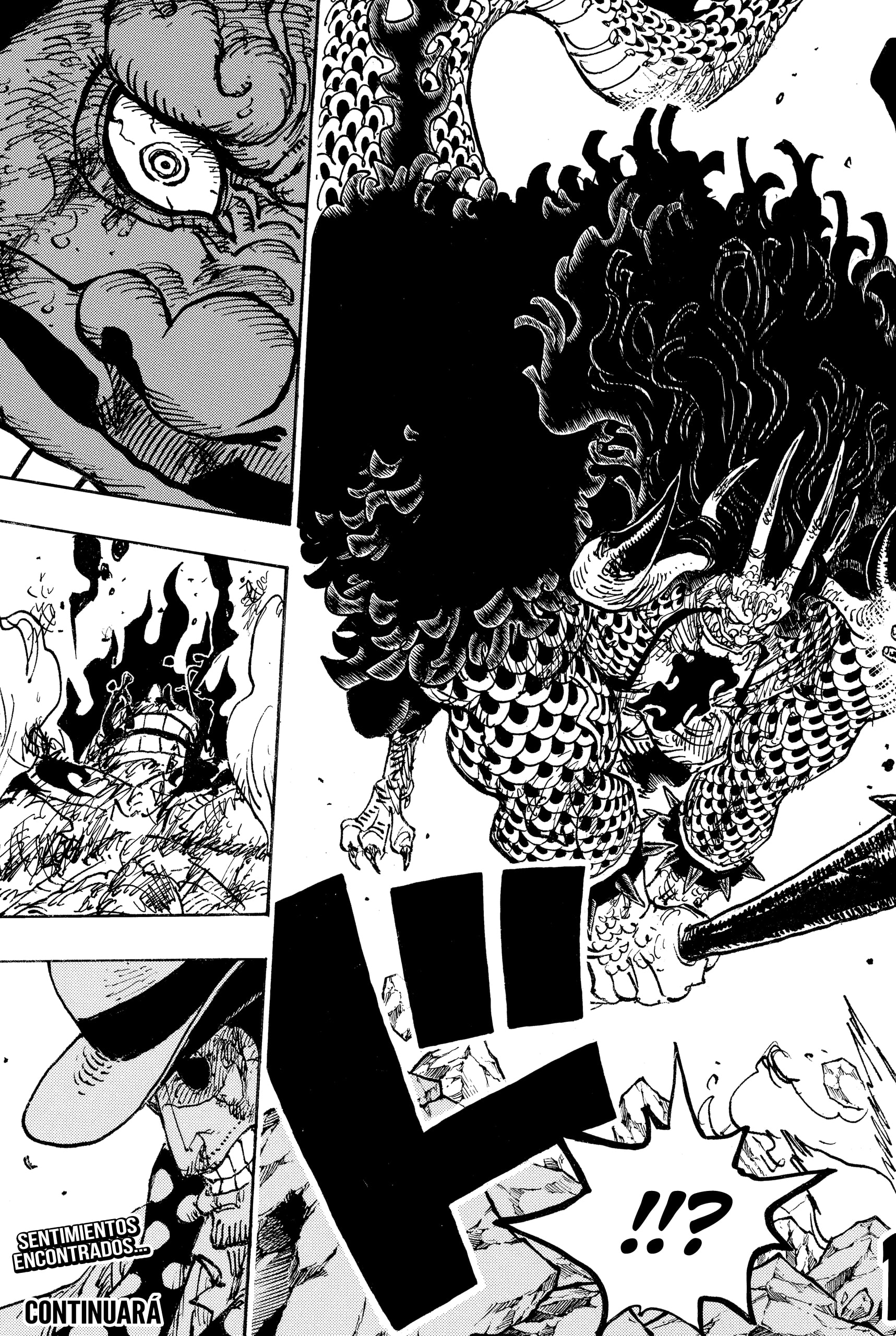 One Piece Capitulo 1042 página 17
