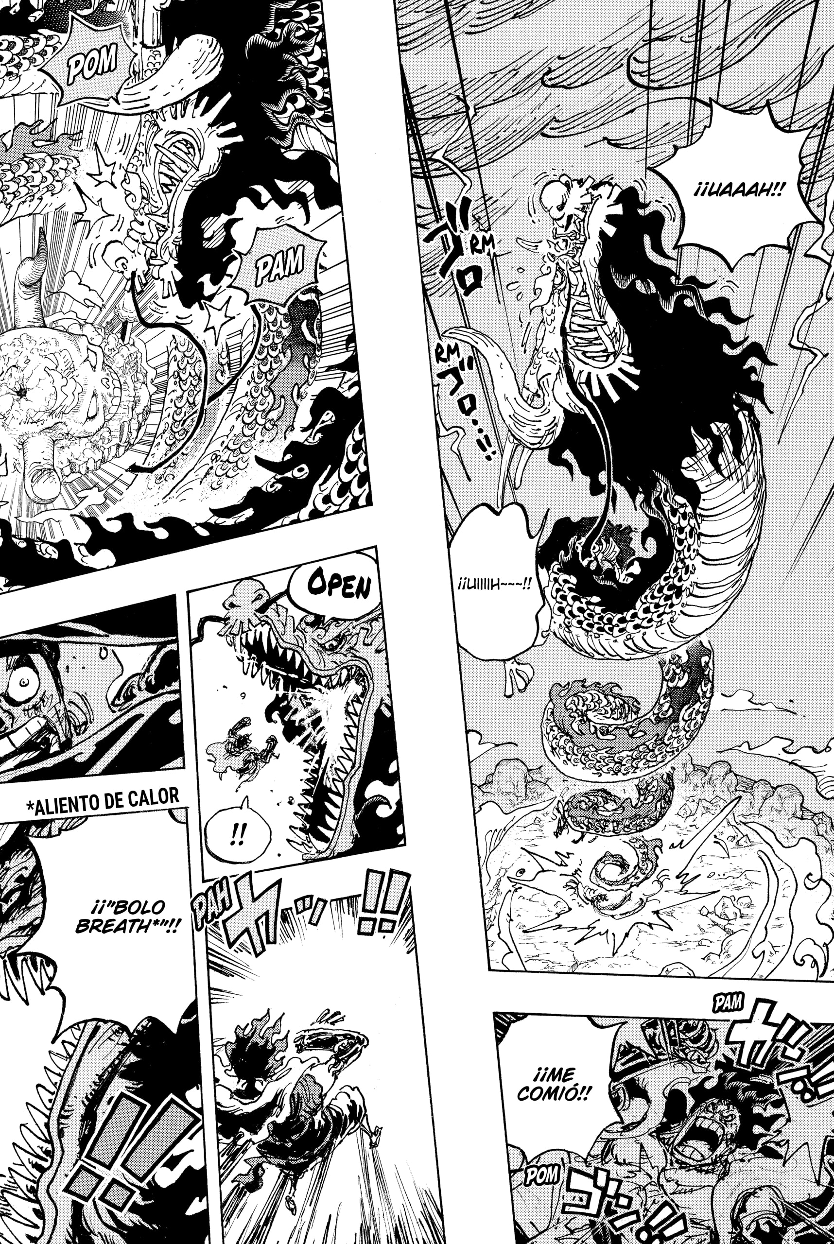 One Piece Capitulo 1042 página 8