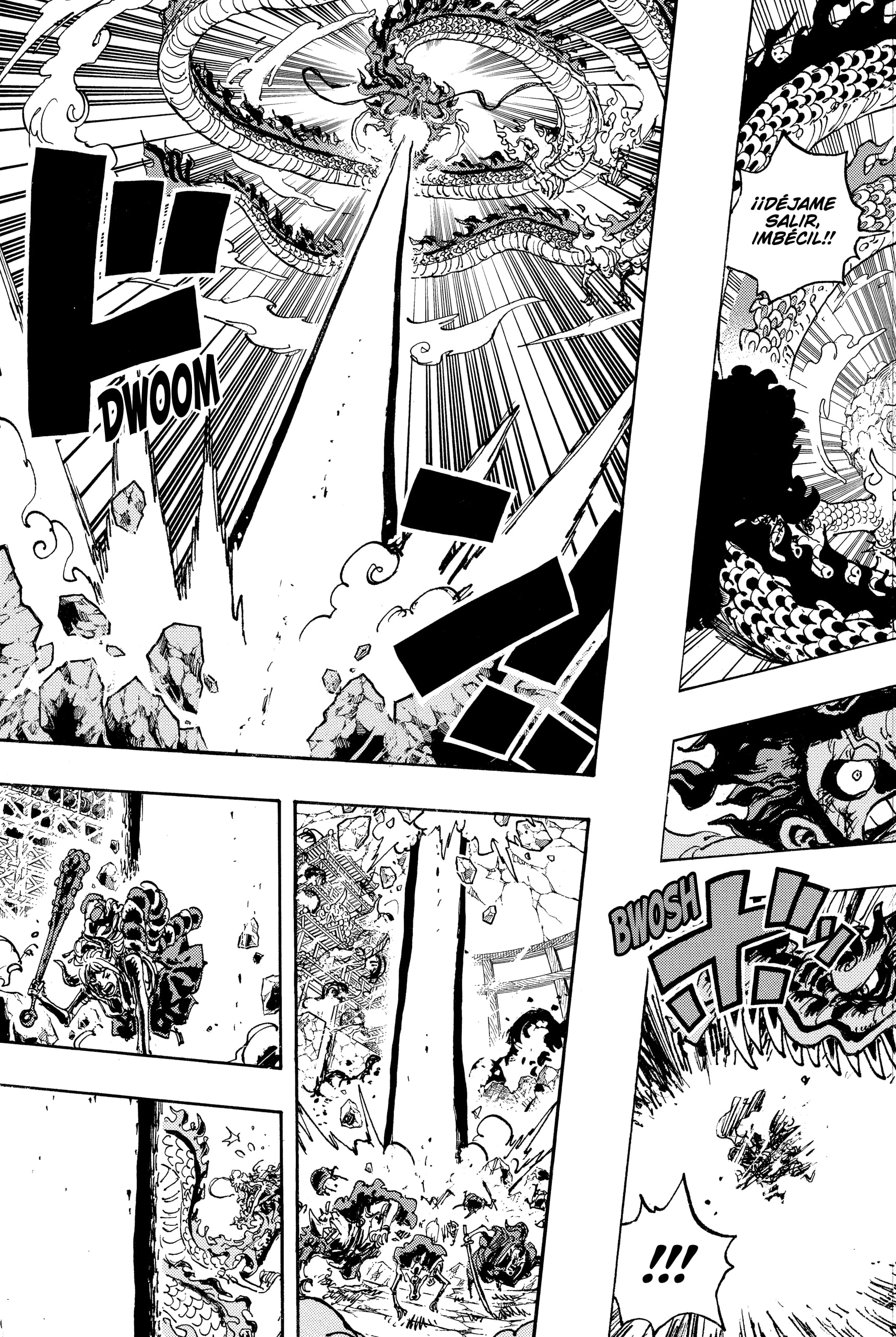 One Piece Capitulo 1042 página 9