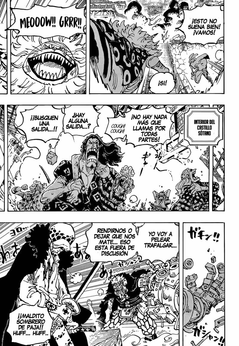 One Piece Capitulo 1043 página 11
