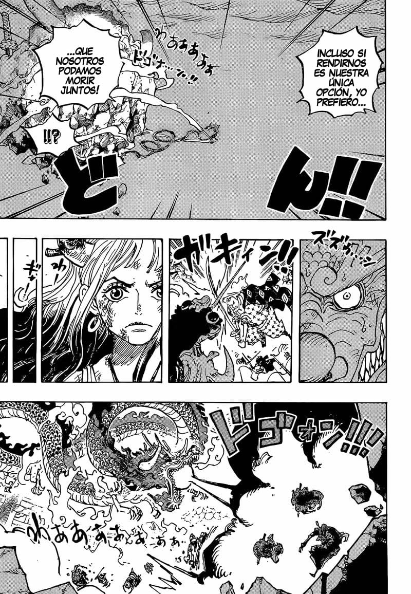 One Piece Capitulo 1043 página 13