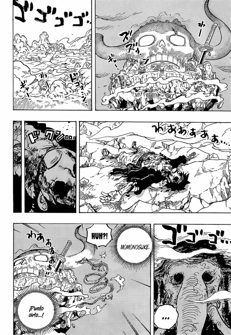 One Piece Capitulo 1043 página 14