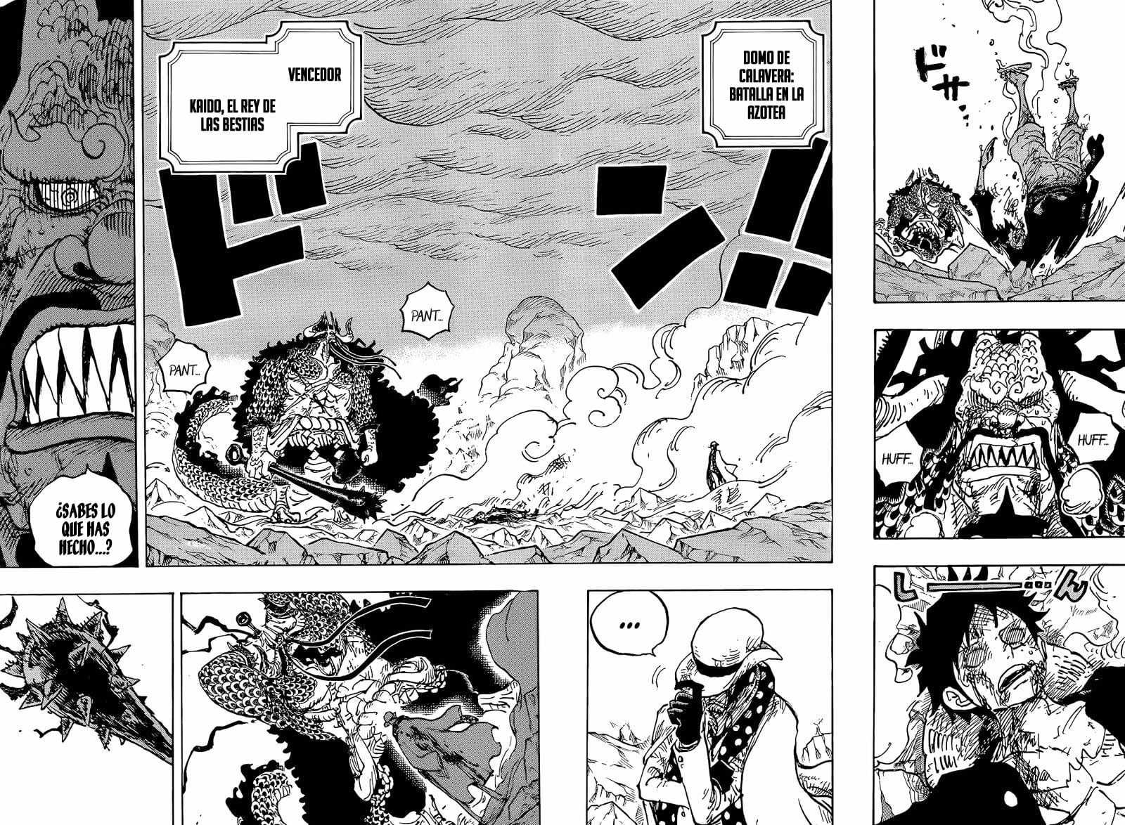One Piece Capitulo 1043 página 4