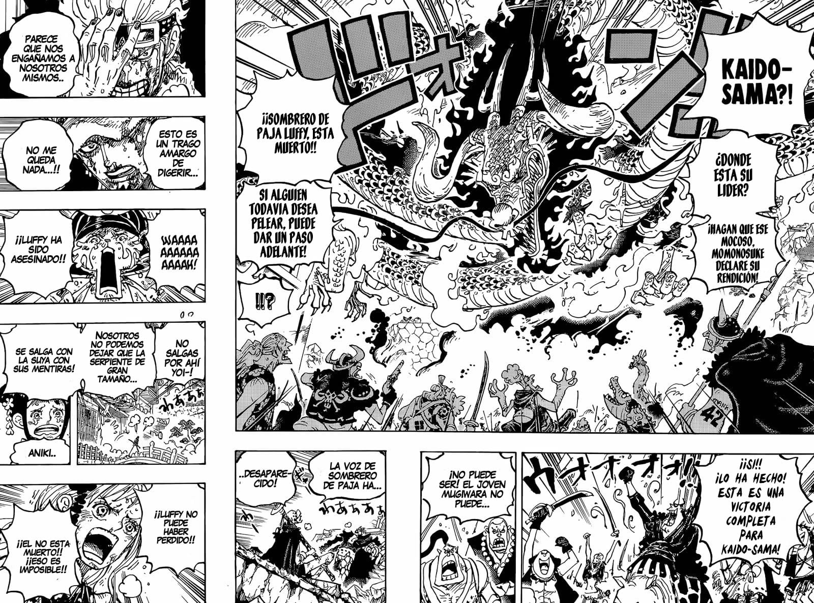 One Piece Capitulo 1043 página 7