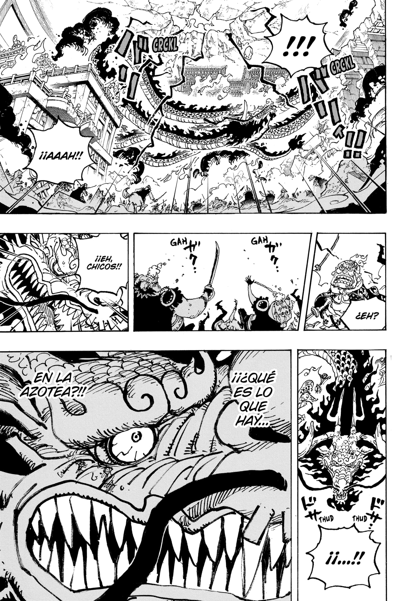One Piece Capitulo 1044 página 11