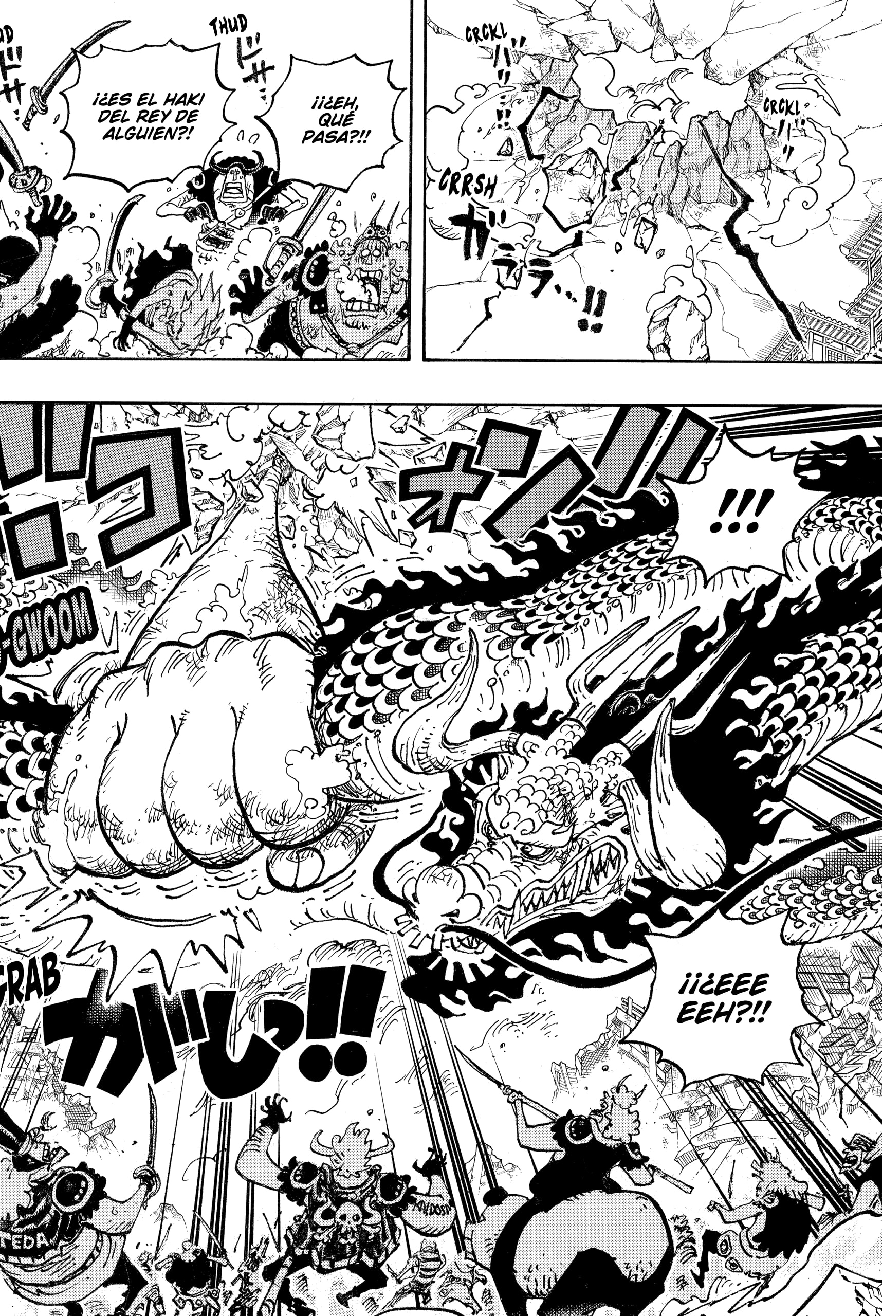 One Piece Capitulo 1044 página 12