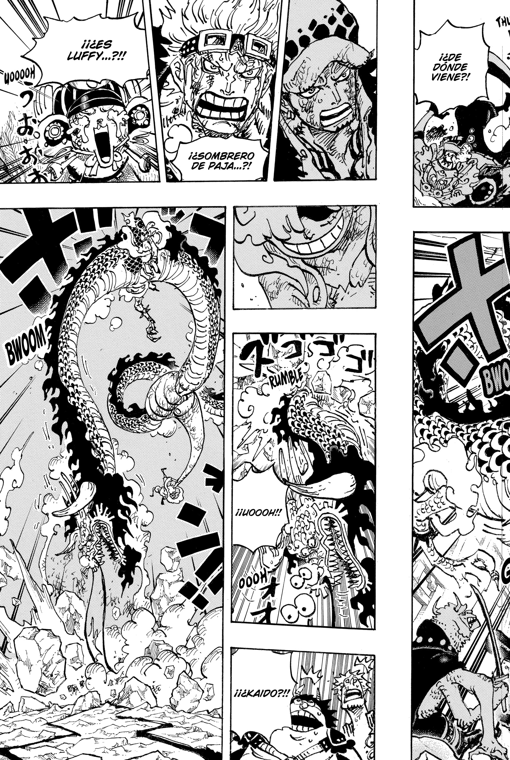One Piece Capitulo 1044 página 13