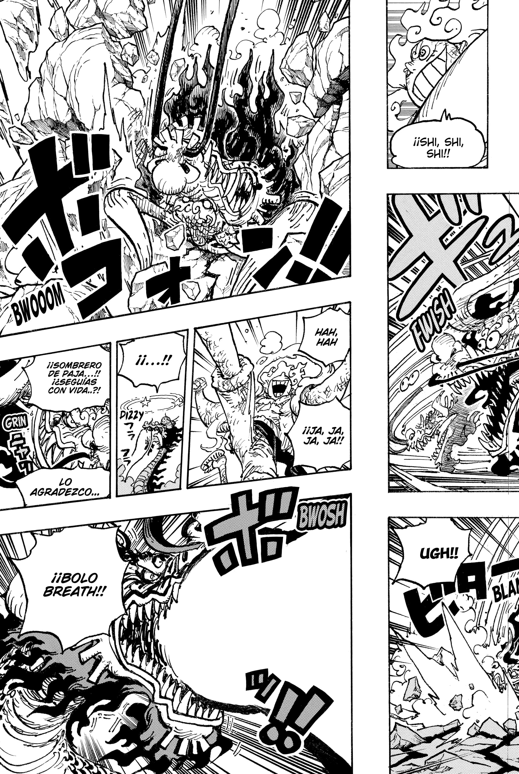 One Piece Capitulo 1044 página 15