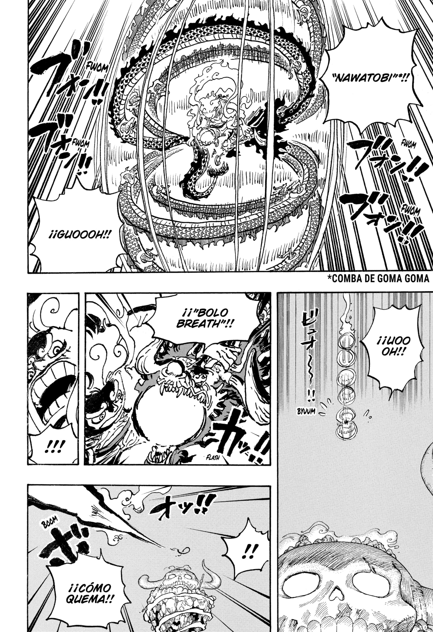 One Piece Capitulo 1045 página 11