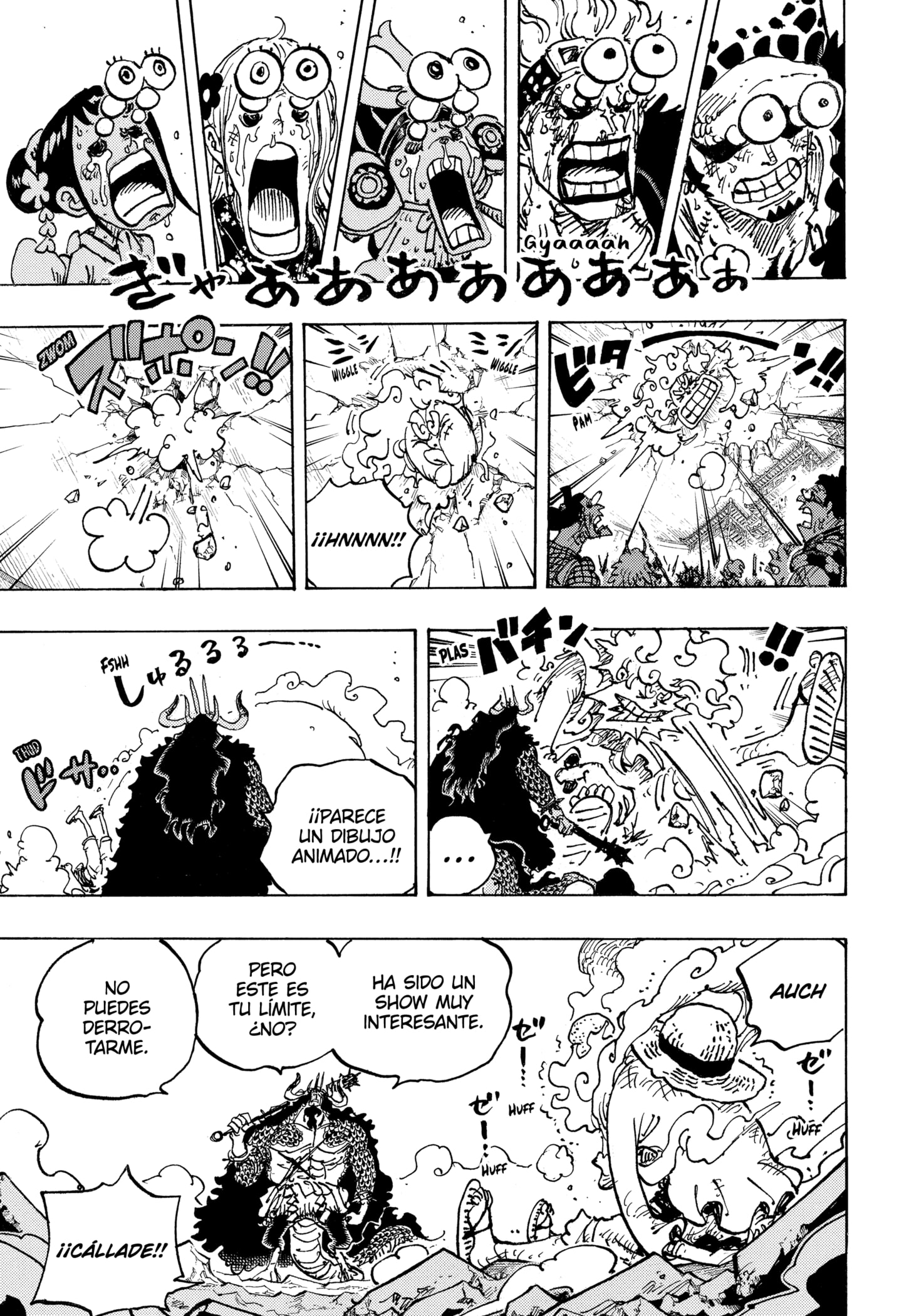 One Piece Capitulo 1045 página 14