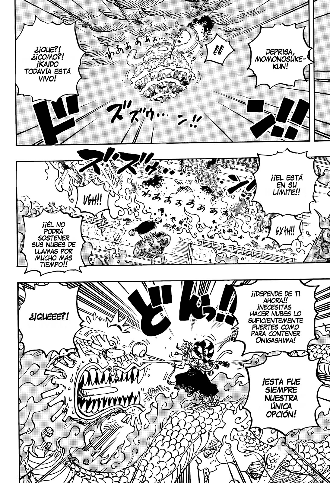One Piece Capitulo 1046 página 15
