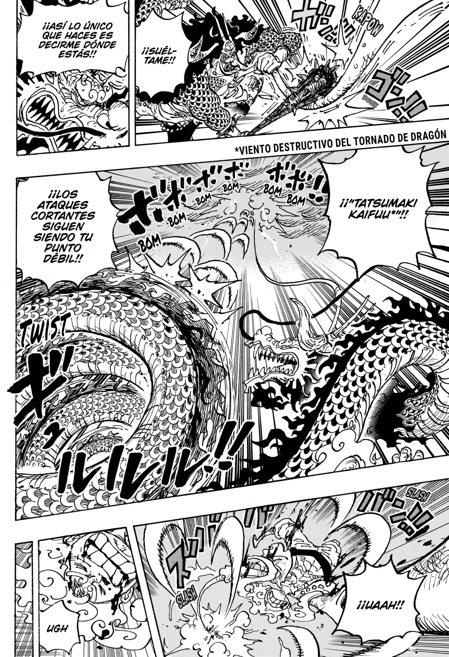 One Piece Capitulo 1047 página 13