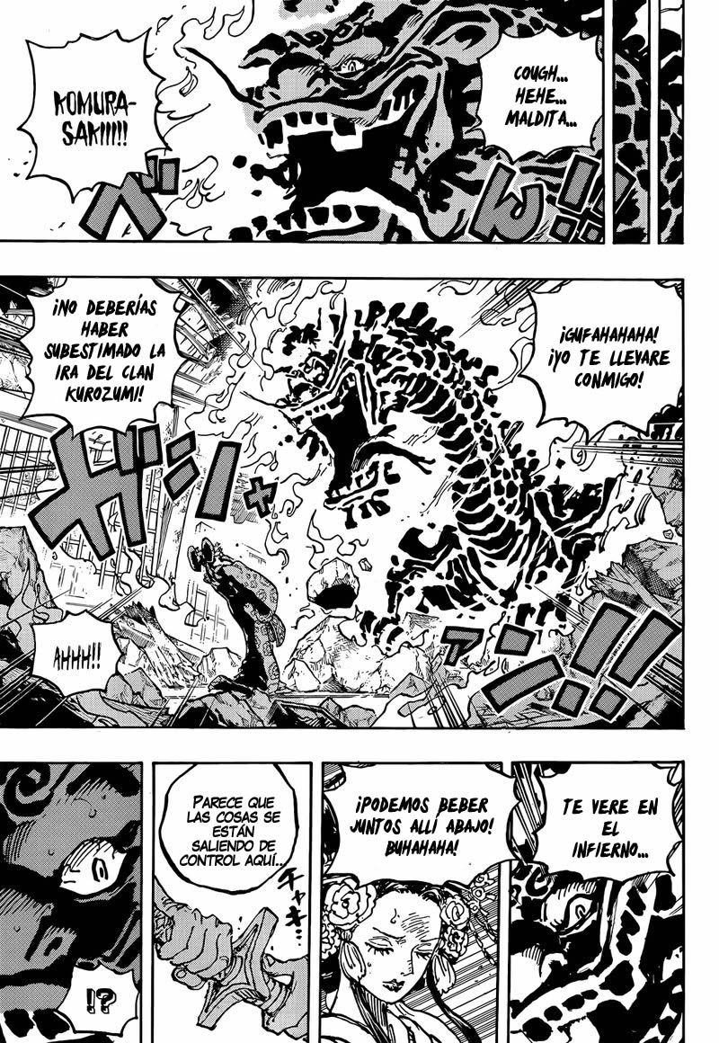 One Piece Capitulo 1048 página 14