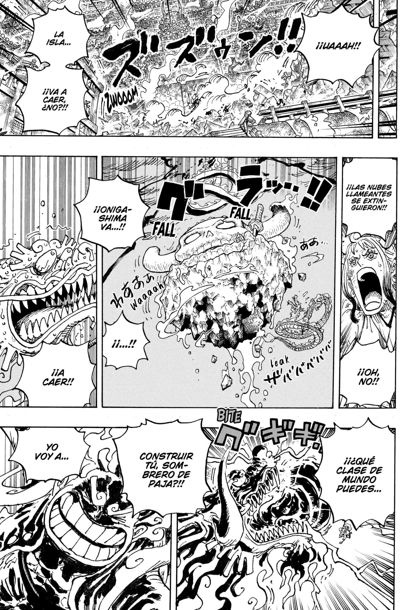 One Piece Capitulo 1049 página 11