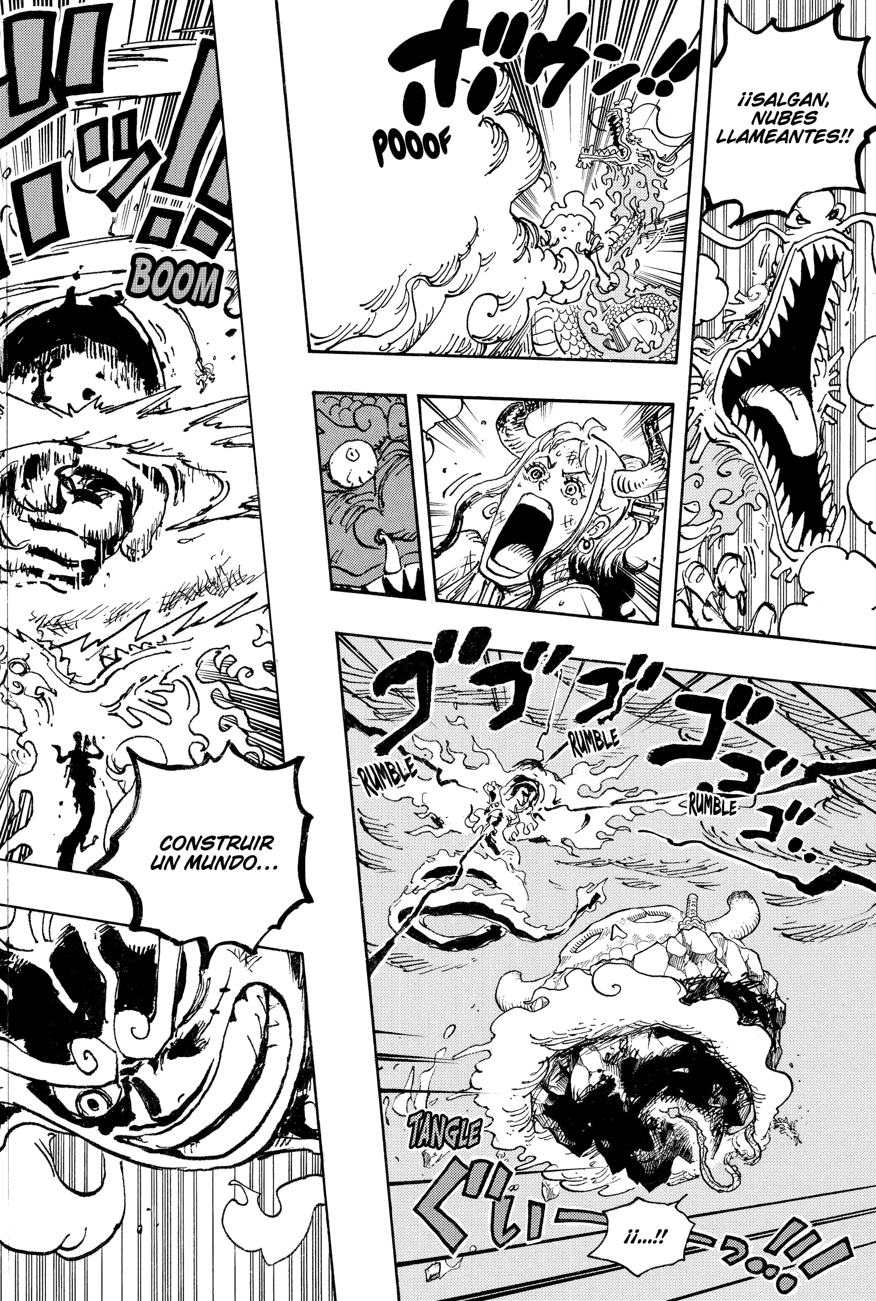 One Piece Capitulo 1049 página 12