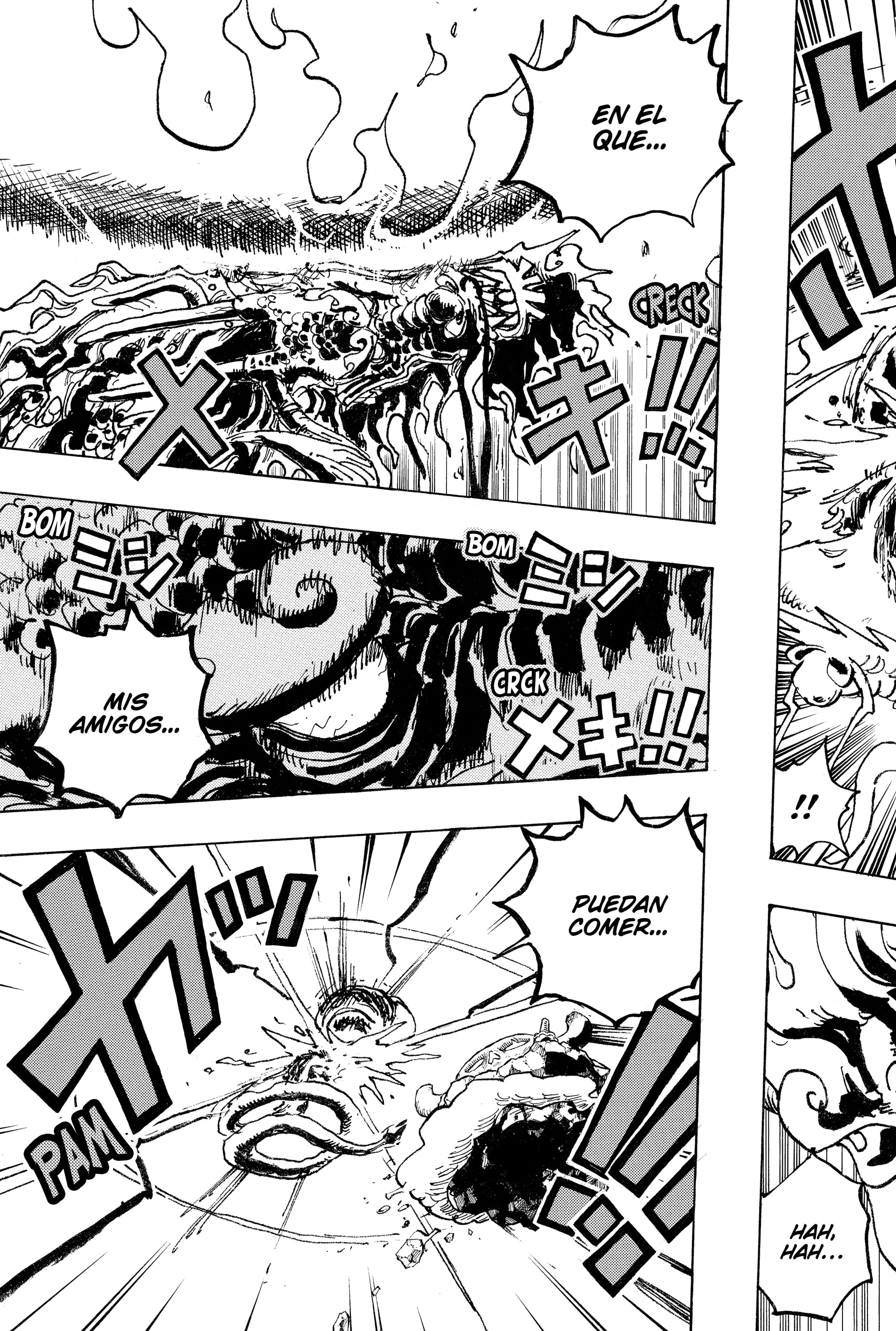 One Piece Capitulo 1049 página 13