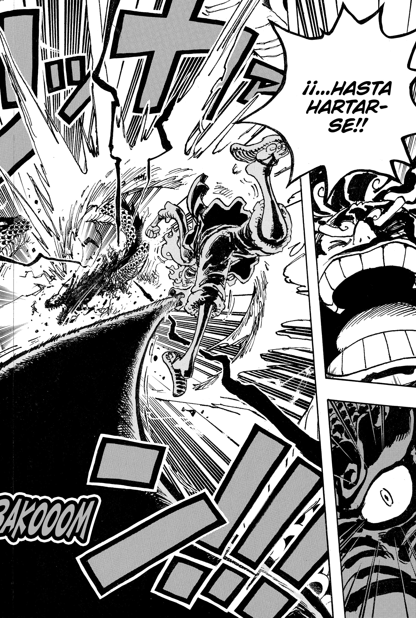 One Piece Capitulo 1049 página 14
