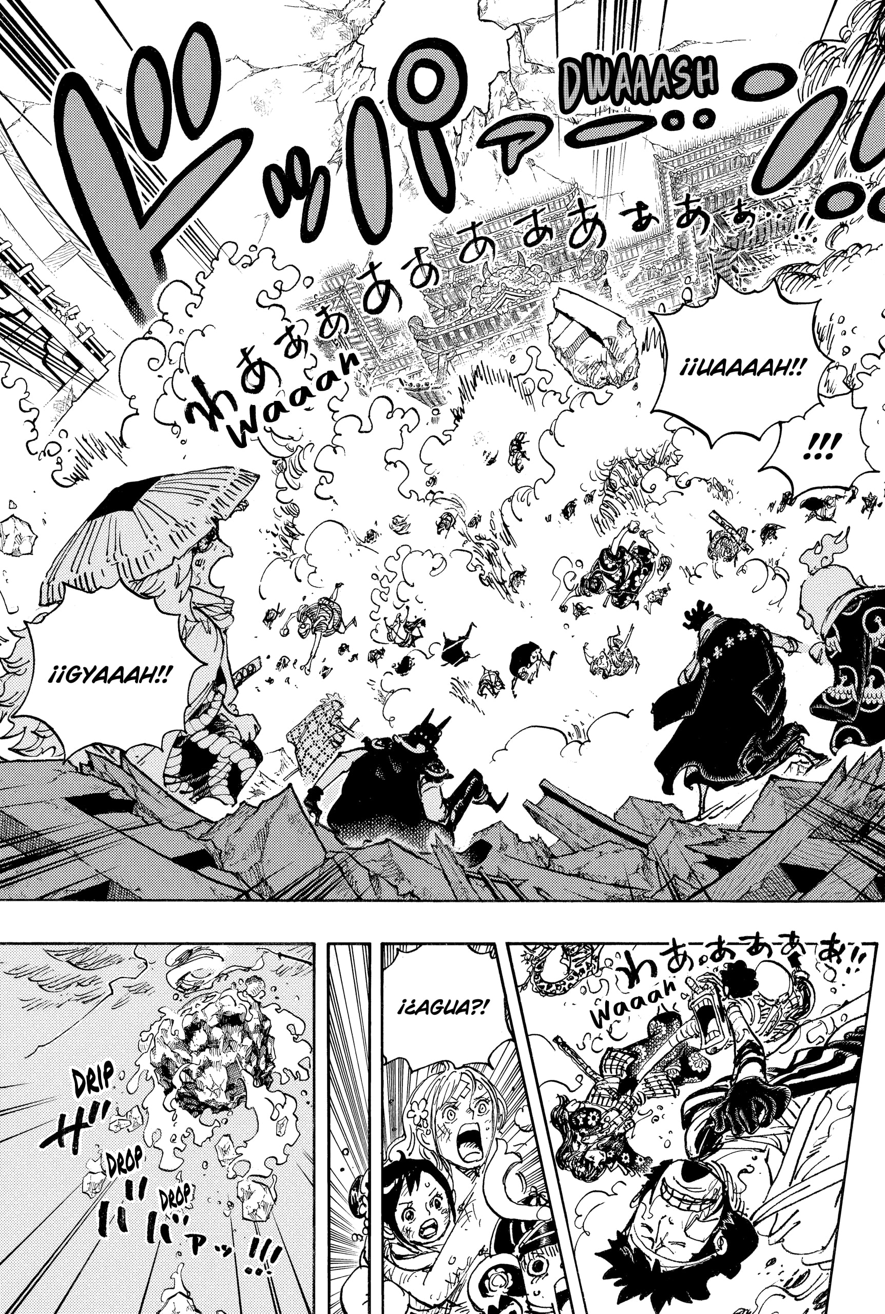 One Piece Capitulo 1049 página 9