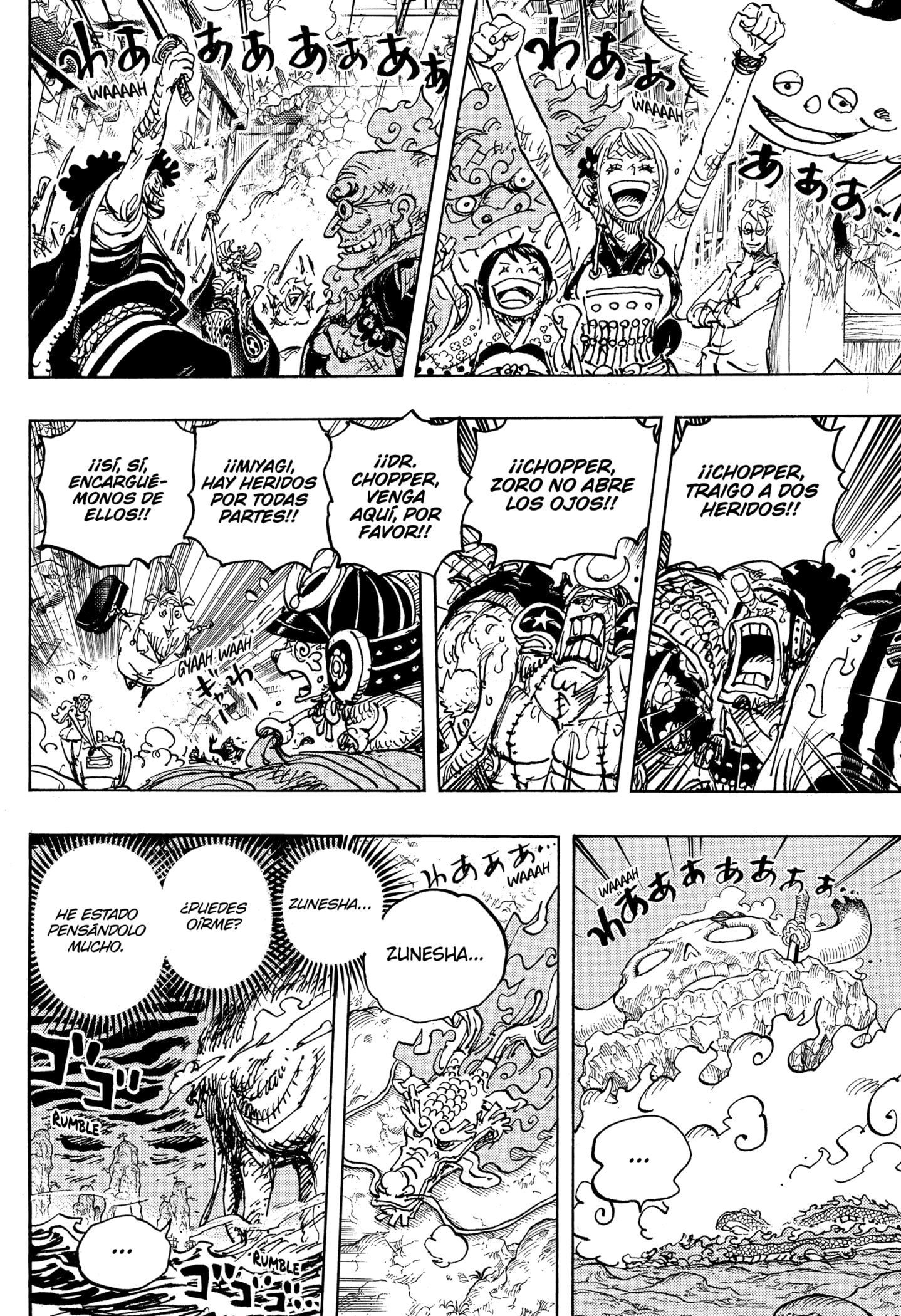 One Piece Capitulo 1050 página 10