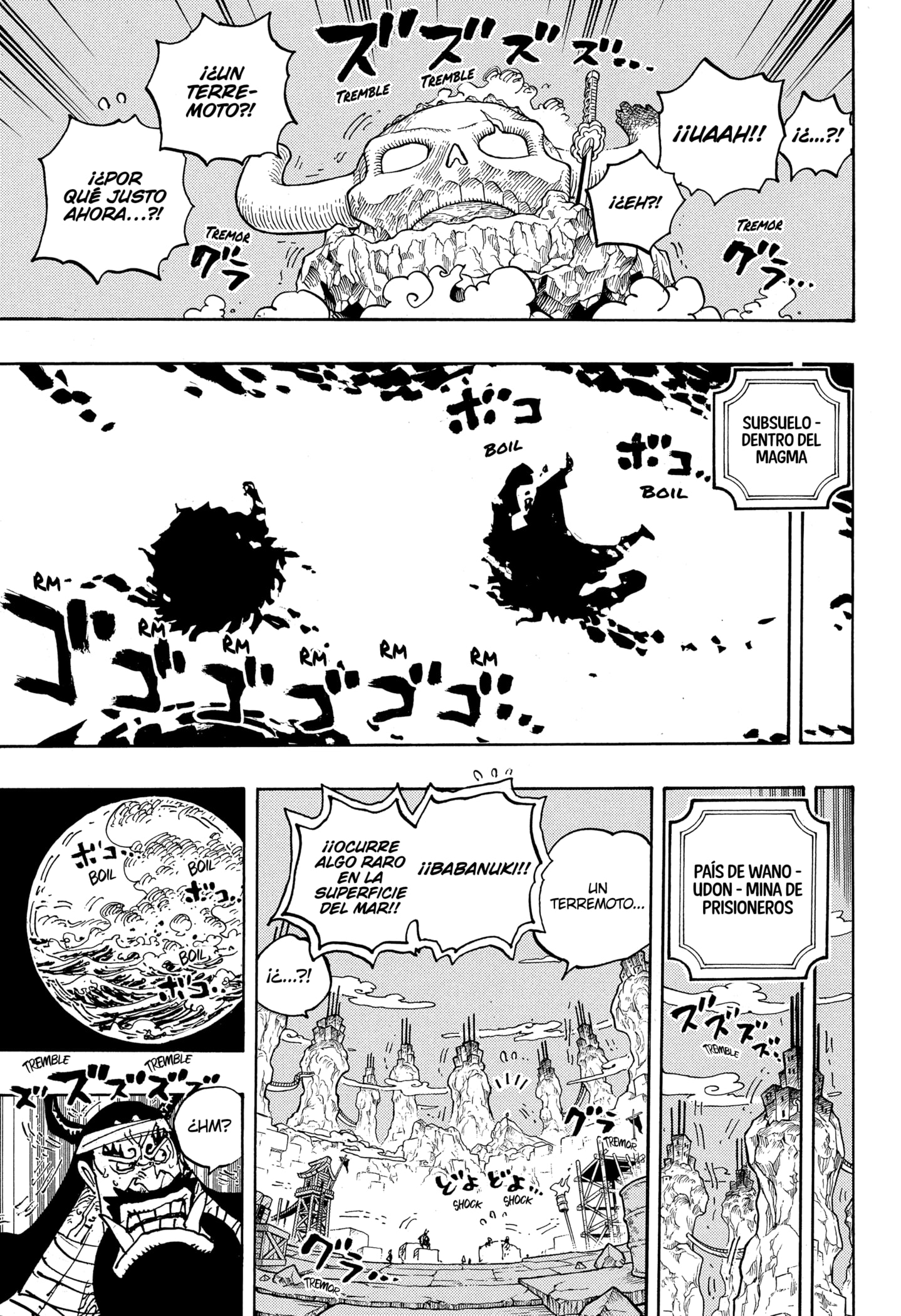 One Piece Capitulo 1050 página 13
