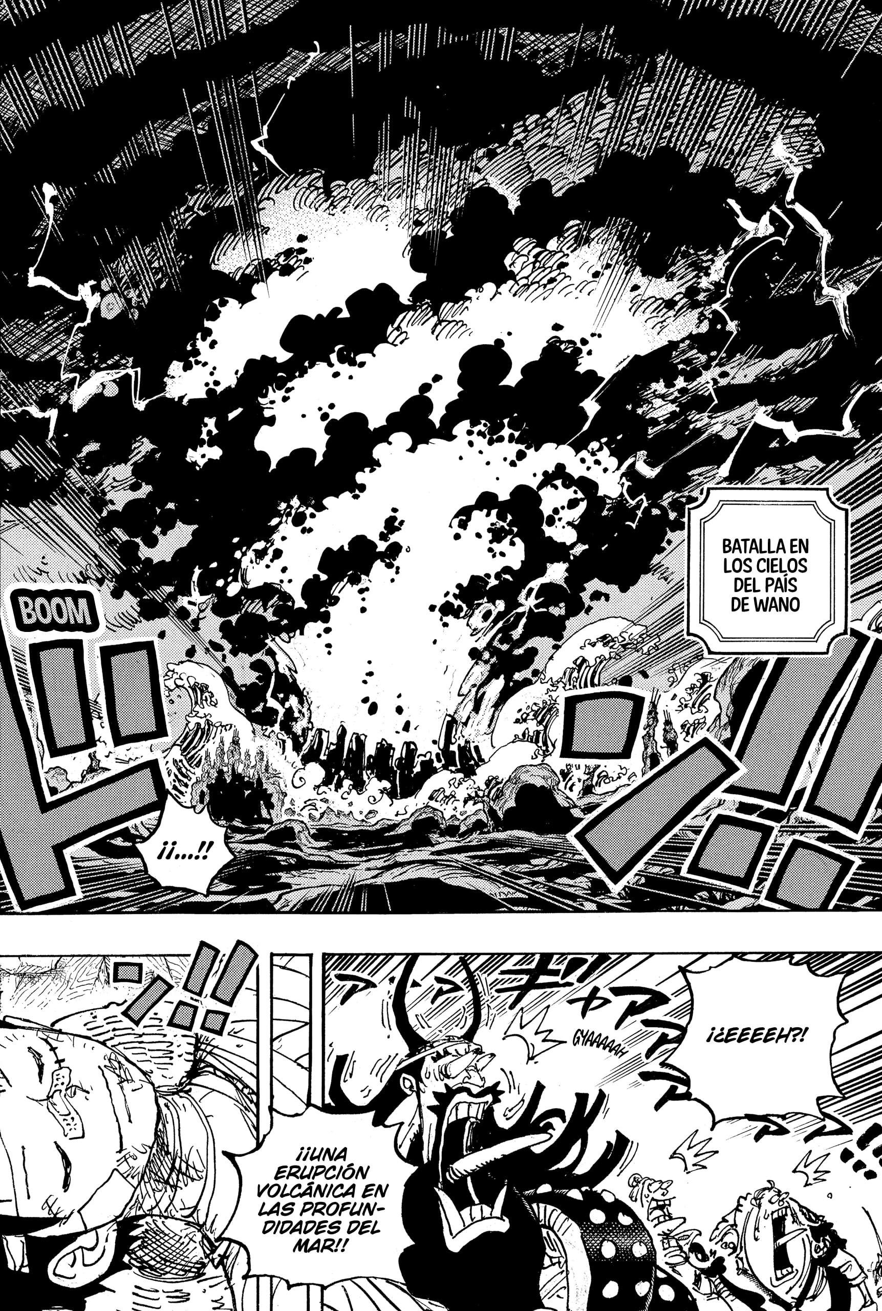 One Piece Capitulo 1050 página 14