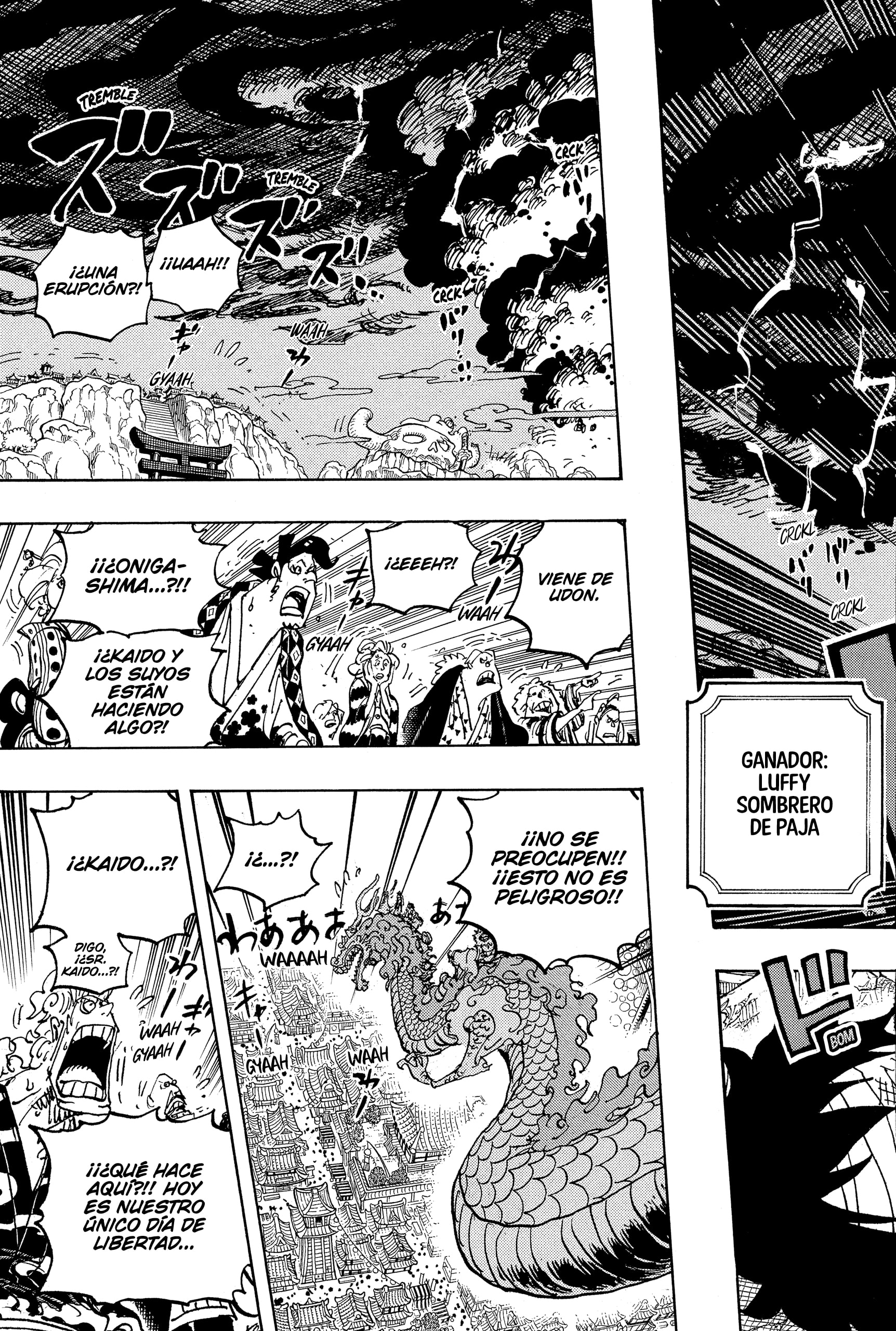 One Piece Capitulo 1050 página 15