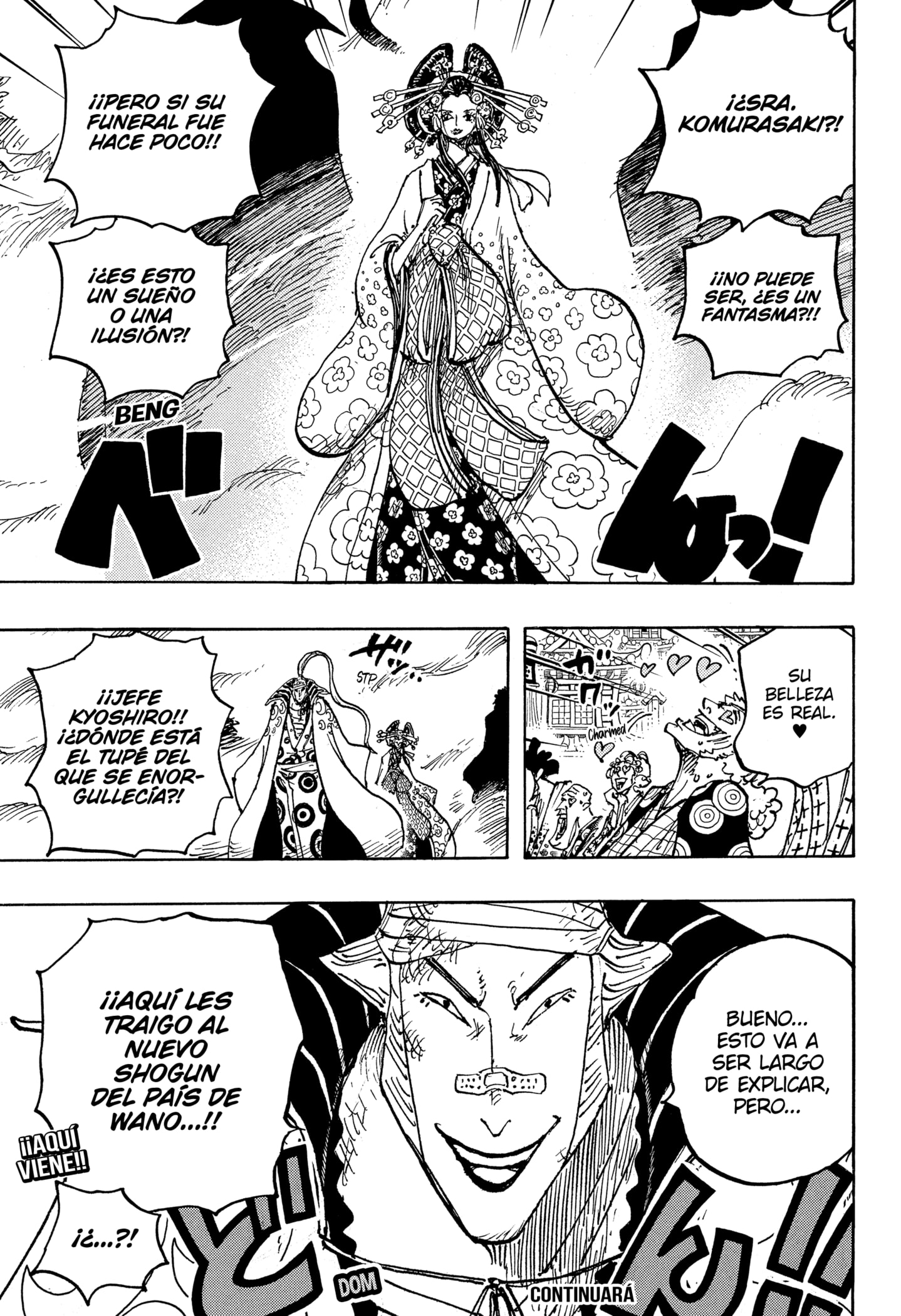 One Piece Capitulo 1050 página 17