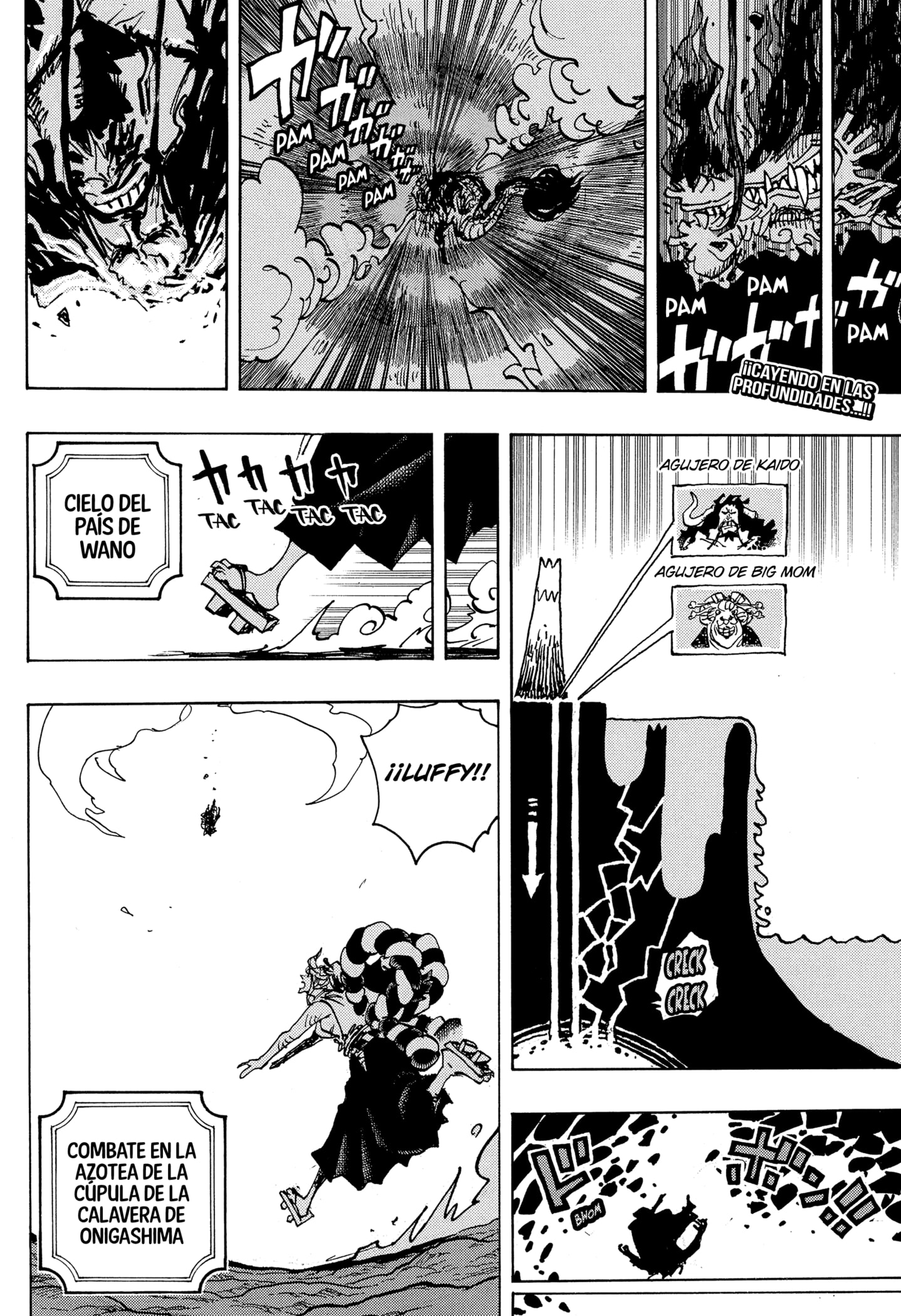 One Piece Capitulo 1050 página 2