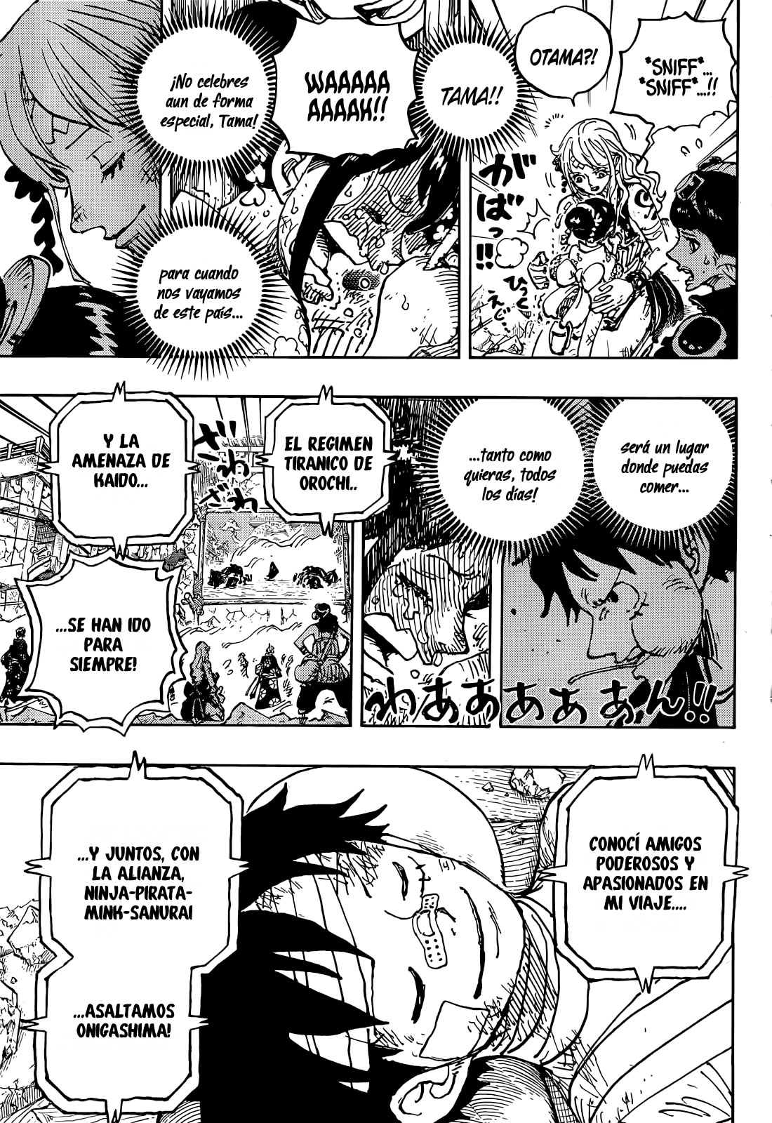 One Piece Capitulo 1051 página 12