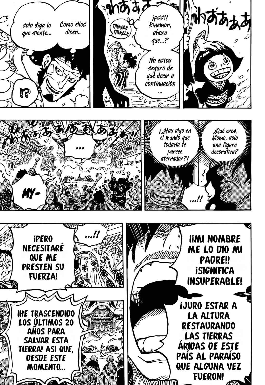 One Piece Capitulo 1051 página 14