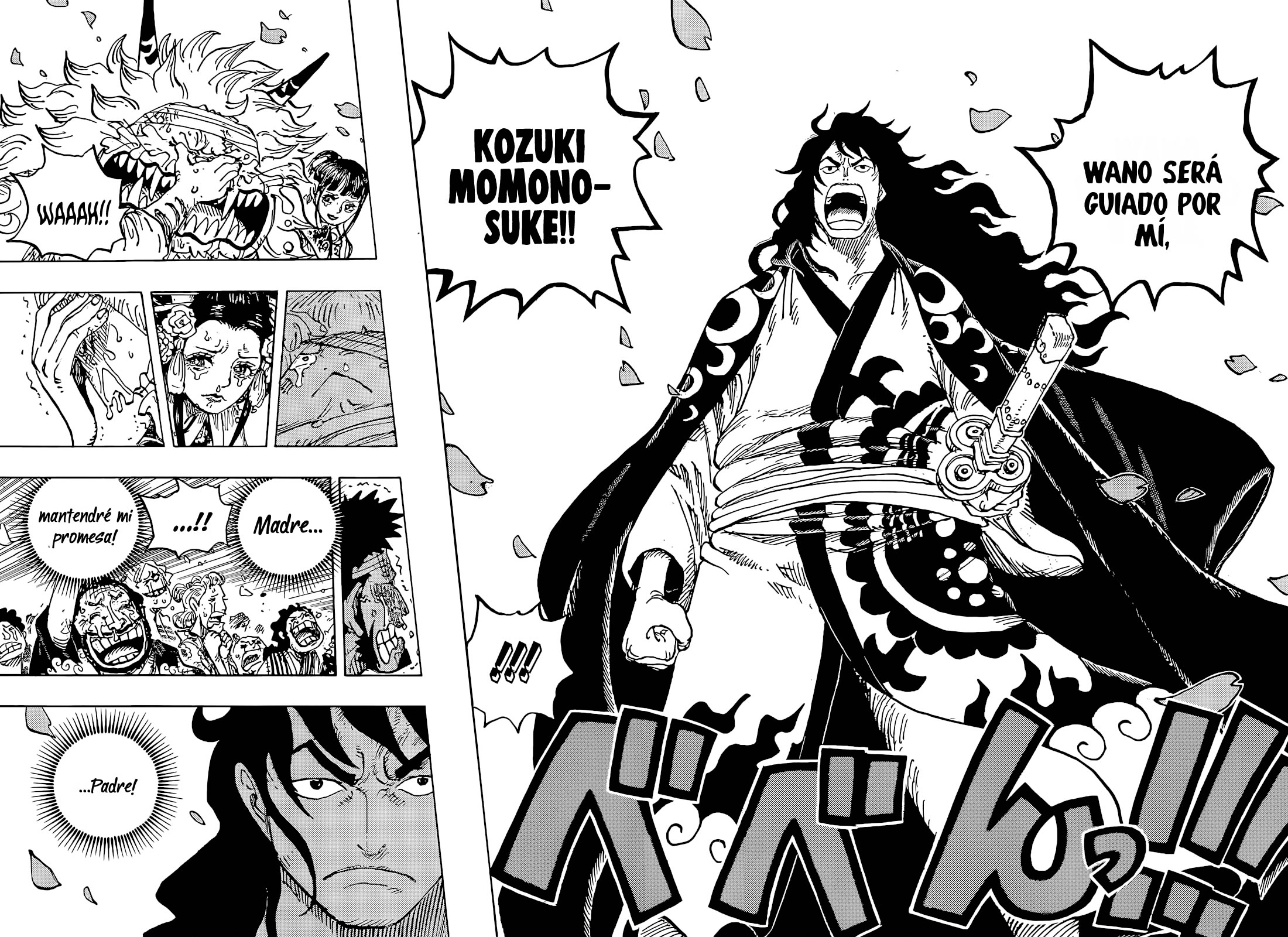 One Piece Capitulo 1051 página 15