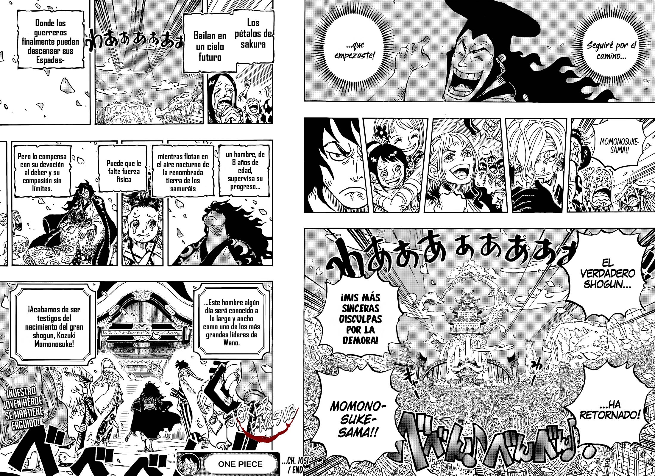 One Piece Capitulo 1051 página 16