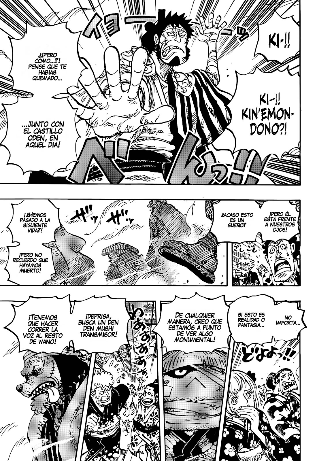 One Piece Capitulo 1051 página 4