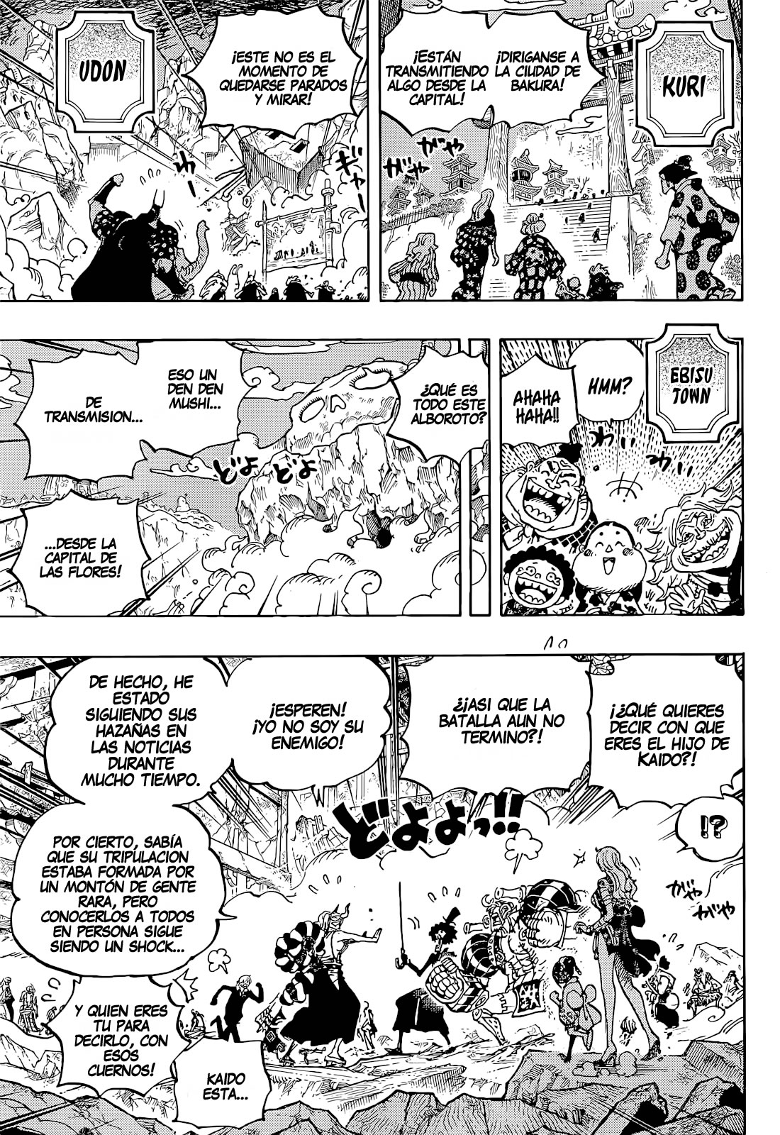 One Piece Capitulo 1051 página 6