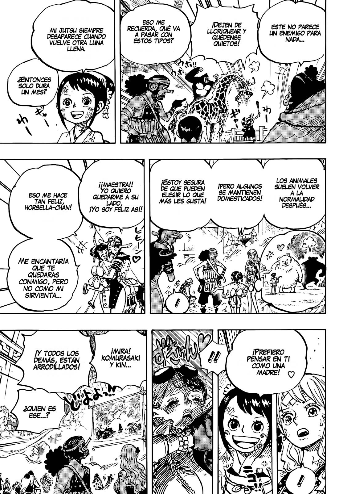 One Piece Capitulo 1051 página 8