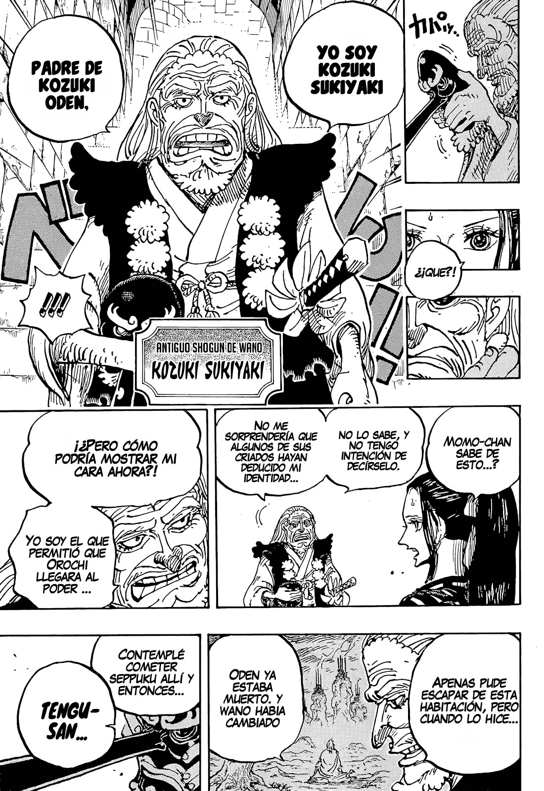 One Piece Capitulo 1053 página 8